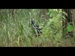 Cậu Chủ Nhà Bị Em Giúp Việc Tâm Cơ Quyến Rủ